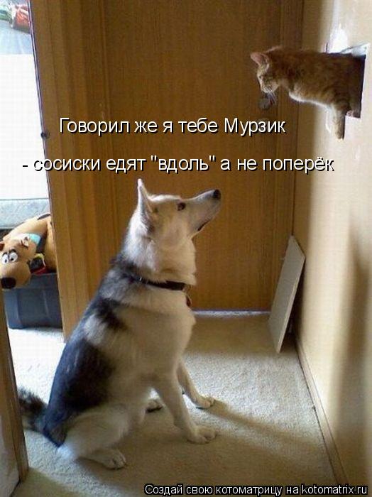 Говорил же я тебе Мурзик - сосиски едят "вдоль" а не поперёк... Котоматрица: Говорил же я тебе Мурзик - сосиски едят "вдоль" а не поперёк