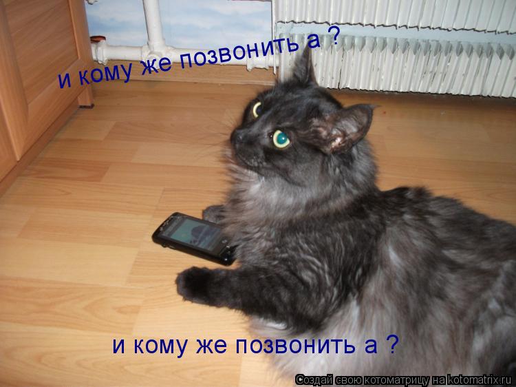 и кому же позвонить а ? и кому же позвонить а ?... Котоматрица: и кому же позвонить а ? и кому же позвонить а ?