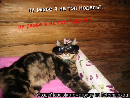 ну разве я не топ модель? ну разве я не топ модель?... Котоматрица: ну разве я не топ модель? ну разве я не топ модель?