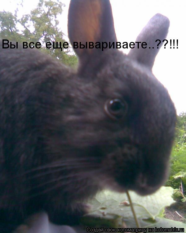 Вы все еще вывариваете..??!!!... Котоматрица: Вы все еще вывариваете..??!!!