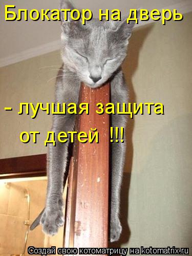 Блокатор на дверь лучшая защита от детей !!! -... Котоматрица: Блокатор на дверь лучшая защита от детей !!! -