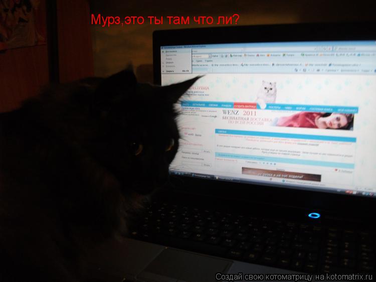 Мурз,это ты там что ли?... Котоматрица: Мурз,это ты там что ли?