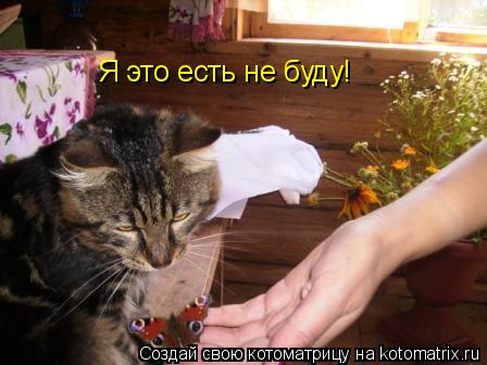 Я это есть не буду!... Котоматрица: Я это есть не буду!