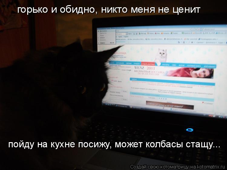 горько и обидно, никто меня не ценит пойду на кухне посижу, может колбасы стащу...... Котоматрица: горько и обидно, никто меня не ценит пойду на кухне посижу, может колбасы стащу...
