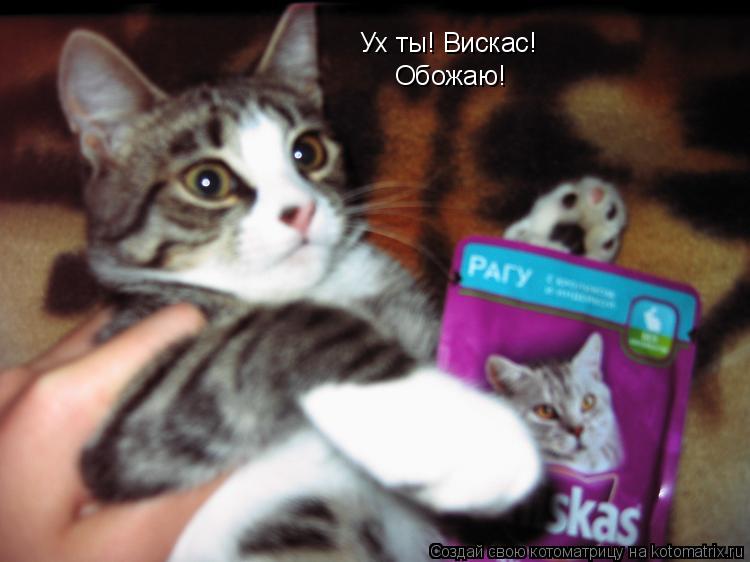 Ух ты! Вискас! Обожаю!... Котоматрица: Ух ты! Вискас! Обожаю!