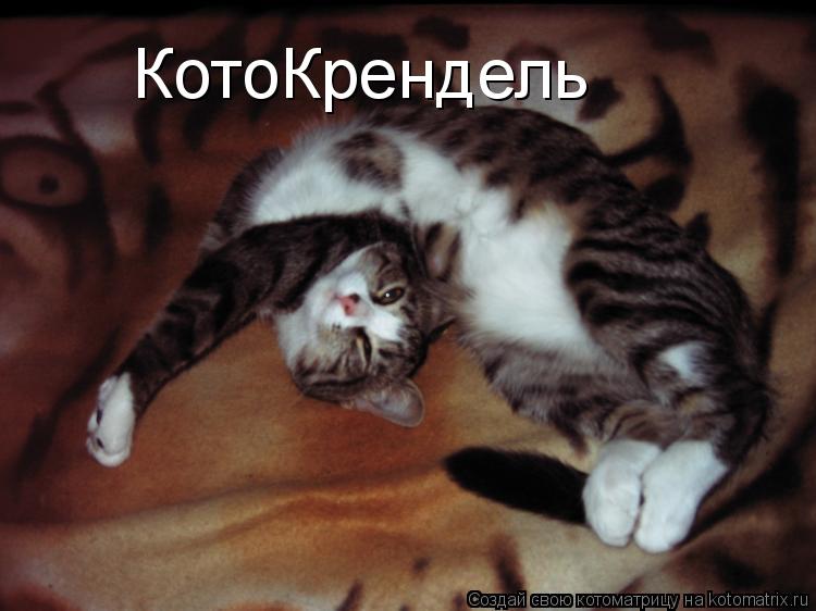 КотоКрендель... Котоматрица: КотоКрендель
