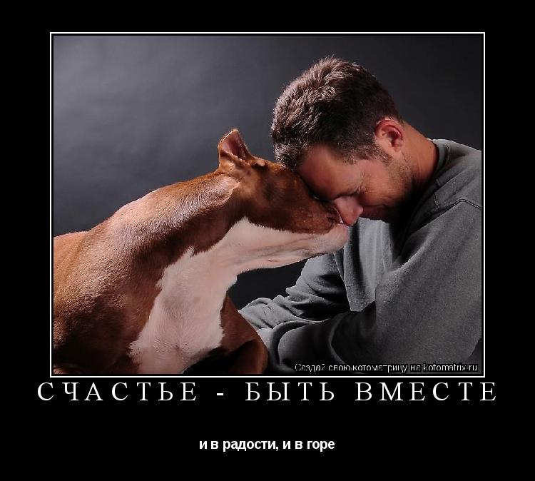 СЧАСТЬЕ - БЫТЬ ВМЕСТЕ и в радости, и в горе... Котоматрица: СЧАСТЬЕ - БЫТЬ ВМЕСТЕ и в радости, и в горе