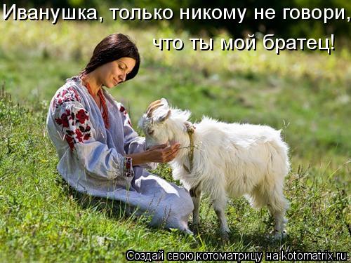 Иванушка, только никому не говори, что ты мой братец!... Котоматрица: Иванушка, только никому не говори, что ты мой братец!