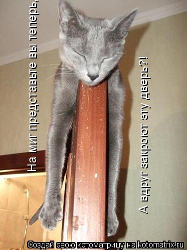 На миг представьте вы теперь, А вдруг закроют эту дверь?!... Котоматрица: На миг представьте вы теперь, А вдруг закроют эту дверь?!