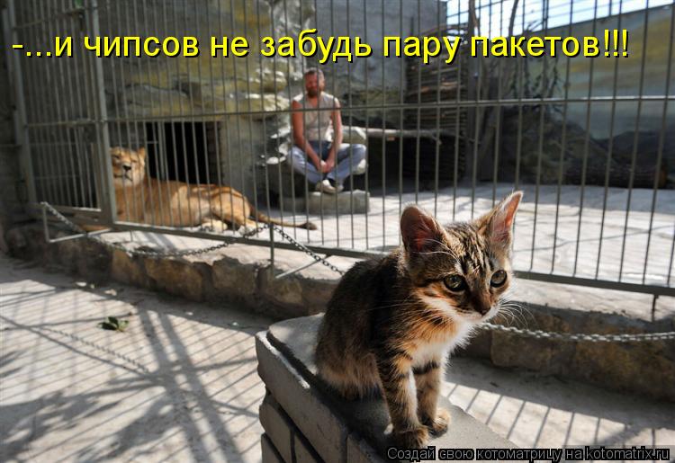 -...и чипсов не забудь пару пакетов!!!... Котоматрица: -...и чипсов не забудь пару пакетов!!!