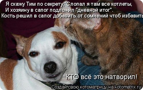 Я скажу Тим по секрету:"Слопал я там все котлеты, И хозяину в сапог подложил "дневной итог". Кость ре... Котоматрица: Я скажу Тим по секрету:"Слопал я там все котлеты, И хозяину в сапог подложил "дневной итог". Кость решил в сапог добавить:от сомнений чтоб изб