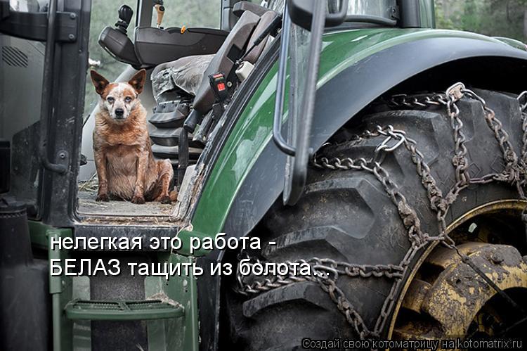 нелегкая это работа - БЕЛАЗ тащить из болота...... Котоматрица: нелегкая это работа - БЕЛАЗ тащить из болота...