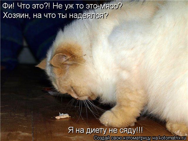 Хозяин, на что ты надеялся? Фи! Что это?! Не уж то это-мясо? Я на диету не сяду!!!... Котоматрица: Хозяин, на что ты надеялся? Фи! Что это?! Не уж то это-мясо? Я на диету не сяду!!!
