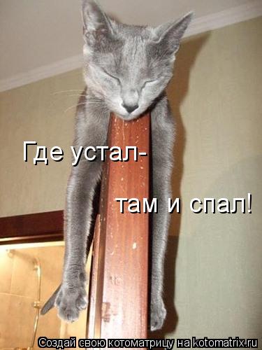 Котоматрица: Где устал- там и спал!
