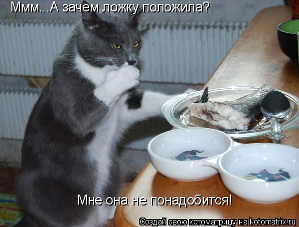 Котоматрица: Ммм...А зачем ложку положила? Мне она не понадобится!