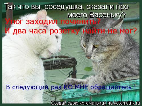 Котоматрица: Так что вы, соседушка, сказали про моего Васеньку? И два часа розетку найти не мог? Утюг заходил починить? В следующий раз КО МНЕ обращайтесь 