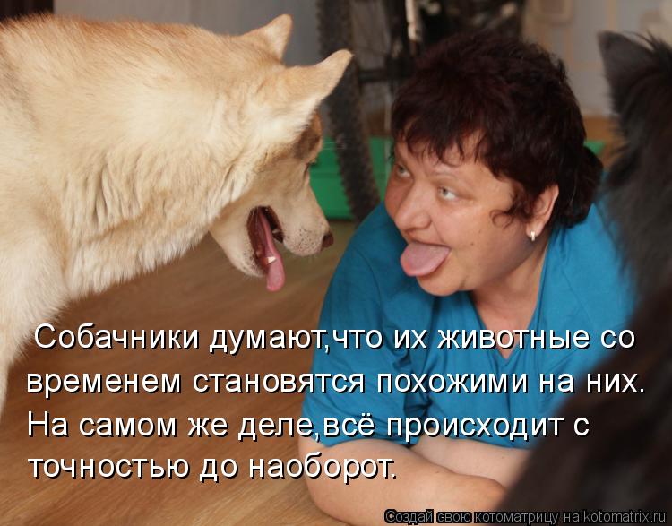 Анекдоты про собачников Анекдоты про собачников