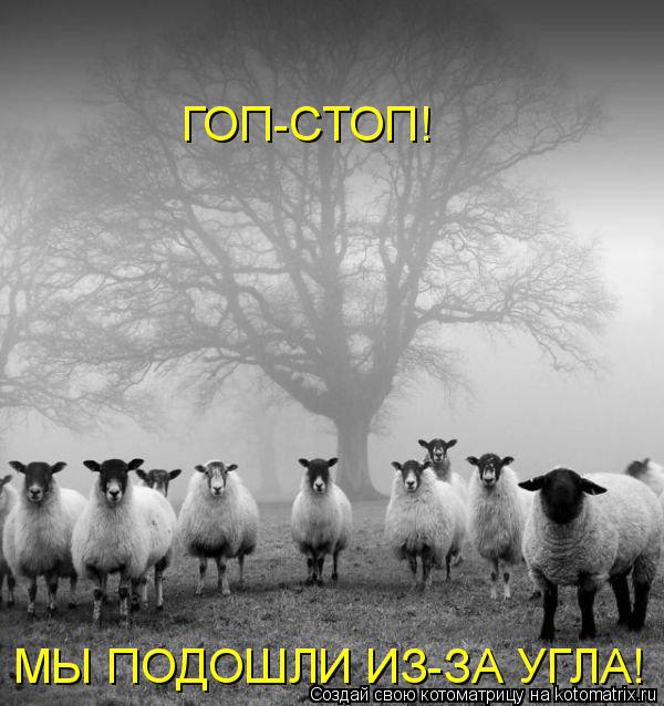 Котоматрица: ГОП-СТОП!  МЫ ПОДОШЛИ ИЗ-ЗА УГЛА!