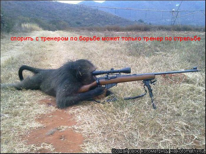 Котоматрица: спорить с тренером по борьбе может только тренер по стрельбе