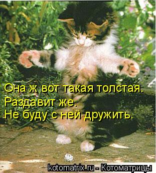 Котоматрица: Она ж вот такая толстая. Раздавит же.  Не буду с ней дружить.