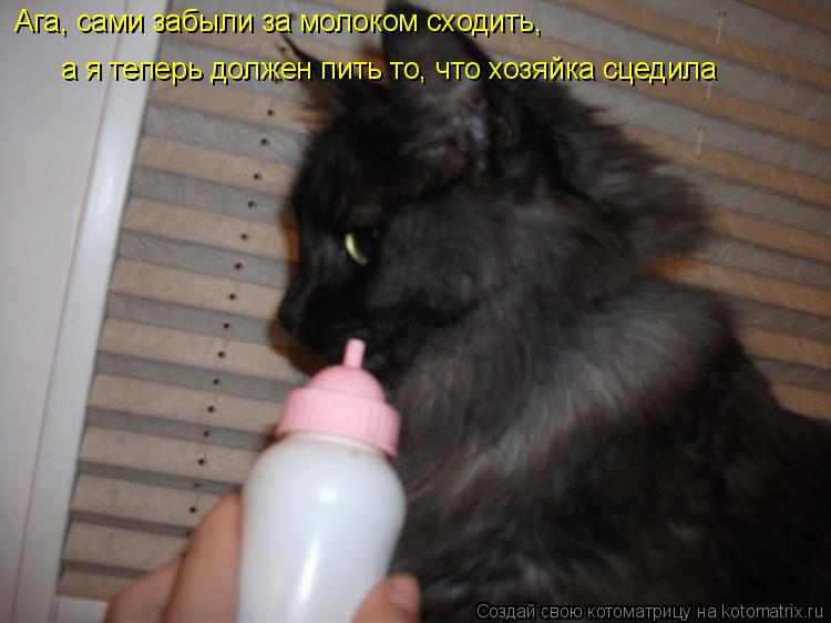 Котоматрица: Ага, сами забыли за молоком сходить, а я теперь должен пить то, что хозяйка сцедила