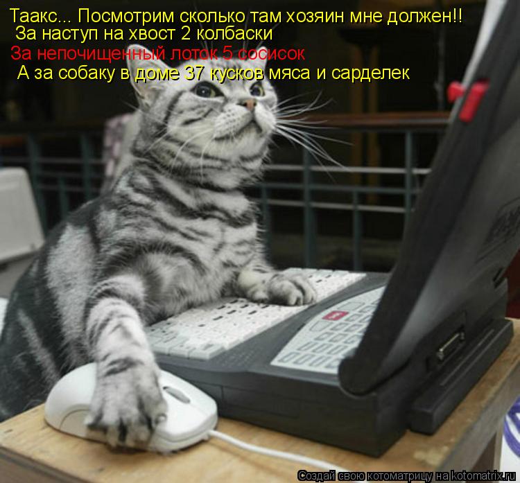 Котоматрица: Таакс... Посмотрим сколько там хозяин мне должен!! За наступ на хвост 2 колбаски За непочищенный лоток 5 сосисок А за собаку в доме 37 кусков мя