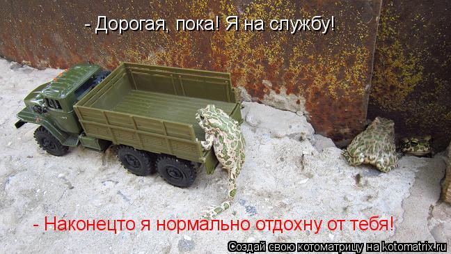 Котоматрица: - Дорогая, пока! Я на службу! - Наконецто я нормально отдохну от тебя!