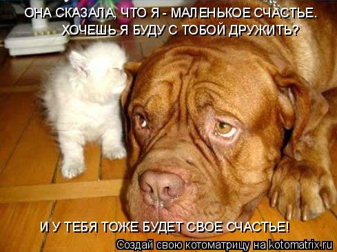 Котоматрица: ОНА СКАЗАЛА, ЧТО Я - МАЛЕНЬКОЕ СЧАСТЬЕ. ХОЧЕШЬ Я БУДУ С ТОБОЙ ДРУЖИТЬ? И У ТЕБЯ ТОЖЕ БУДЕТ СВОЕ СЧАСТЬЕ!