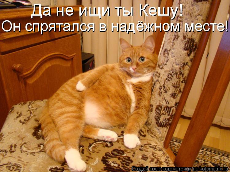 Котоматрица: Да не ищи ты Кешу! Он спрятался в надёжном месте!