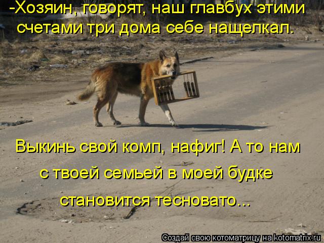 Котоматрица: -Хозяин, говорят, наш главбух этими счетами три дома себе нащелкал. Выкинь свой комп, нафиг! А то нам с твоей семьей в моей будке становится т