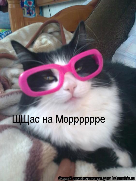 Котоматрица: ЩЩас на Морррррре