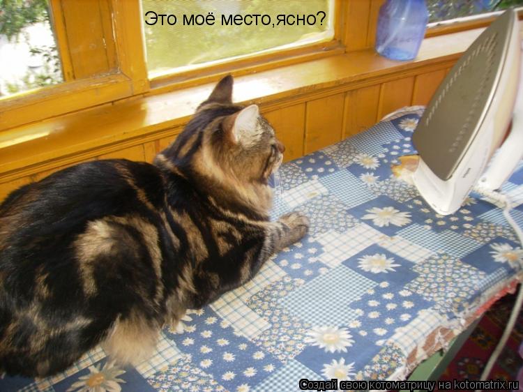 Котоматрица: Э Это моё место,ясно?