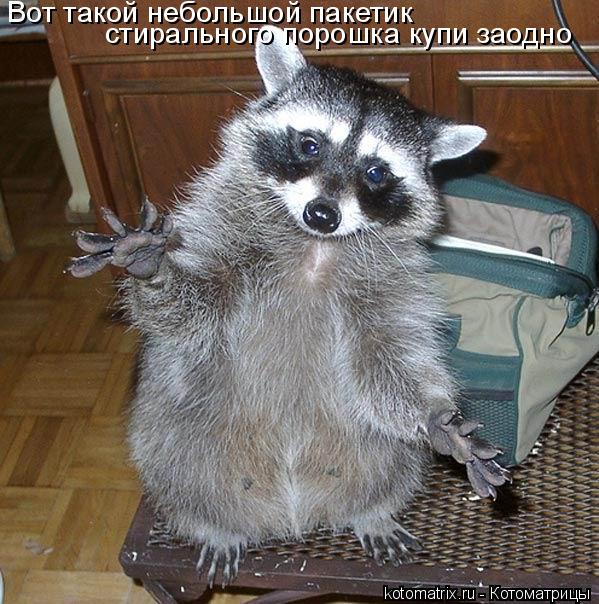 Вот такой небольшой пакетик стирального порошка купи заодно... Котоматрица: Вот такой небольшой пакетик стирального порошка купи заодно