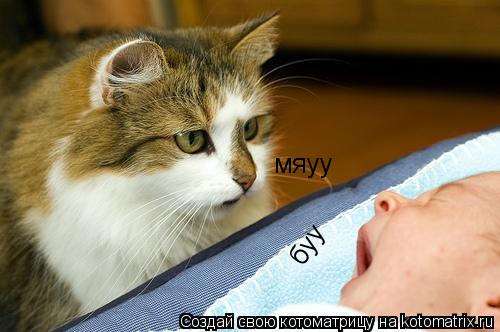 Котоматрица: буу мяуу