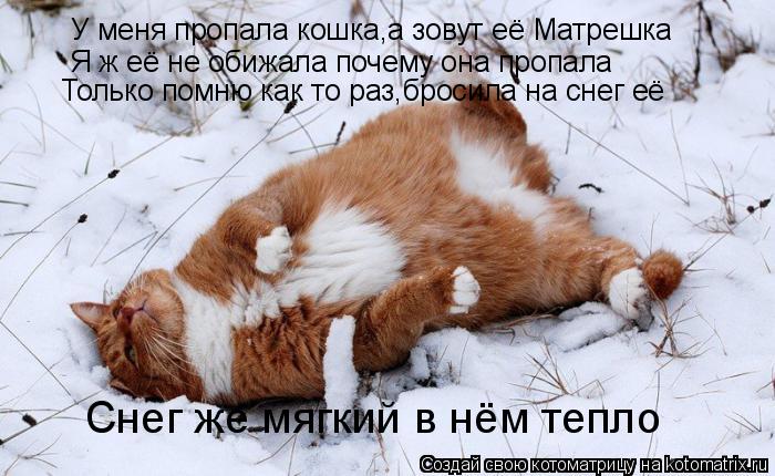 У меня пропала кошка,а зовут её Матрешка Я ж её не обижала почему она пропала Только помню как то ра... Котоматрица: У меня пропала кошка,а зовут её Матрешка Я ж её не обижала почему она пропала Только помню как то раз,бросила на снег её Снег же мягкий в нём