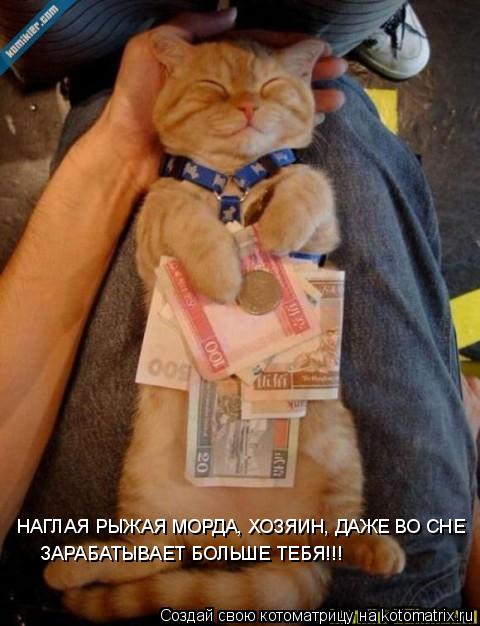 НАГЛАЯ РЫЖАЯ МОРДА, ХОЗЯИН, ДАЖЕ ВО СНЕ ЗАРАБАТЫВАЕТ БОЛЬШЕ ТЕБЯ!!!... Котоматрица: НАГЛАЯ РЫЖАЯ МОРДА, ХОЗЯИН, ДАЖЕ ВО СНЕ ЗАРАБАТЫВАЕТ БОЛЬШЕ ТЕБЯ!!!