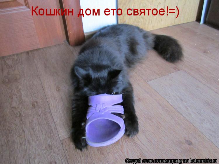 Кошкин дом ето святое!=)... Котоматрица: Кошкин дом ето святое!=)