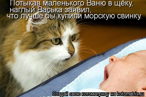 Котоматрица: Потыкав маленького Ваню в щёку, наглый Васька заявил, что лучше бы купили морскую свинку.