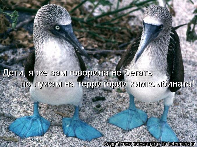 Дети, я же вам говорила не бегать по лужам на территории химкомбината!... Котоматрица: Дети, я же вам говорила не бегать по лужам на территории химкомбината!