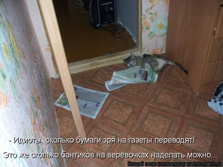 Это же сколько бантиков на верёвочках наделать можно... - Идиоты, сколько бумаги зря на газеты перево... Котоматрица: Это же сколько бантиков на верёвочках наделать можно... - Идиоты, сколько бумаги зря на газеты переводят!