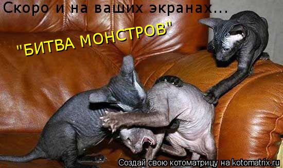 Котоматрица: Скоро и на ваших экранах... "БИТВА МОНСТРОВ"