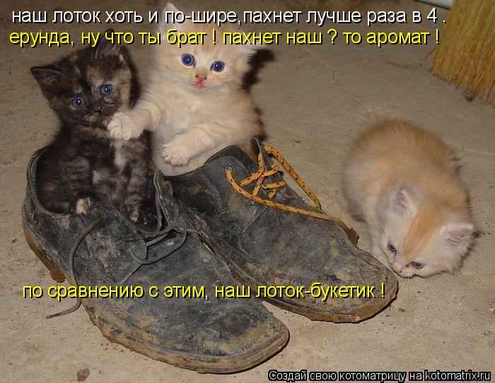 Котоматрица: наш лоток хоть и по-шире,пахнет лучше раза в 4 . ерунда, ну что ты брат ! пахнет наш ? то аромат ! по сравнению с этим, наш лоток-букетик !