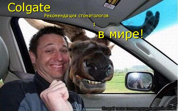 Colgate Рекомендация стоматологов № 1 в мире!... Котоматрица: Colgate Рекомендация стоматологов № 1 в мире!