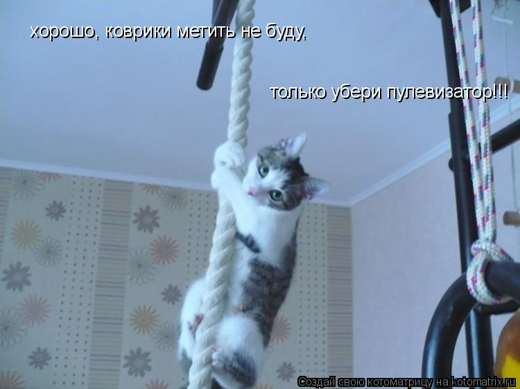 хорошо, коврики метить не буду, только убери пулевизатор!!!... Котоматрица: хорошо, коврики метить не буду, только убери пулевизатор!!!