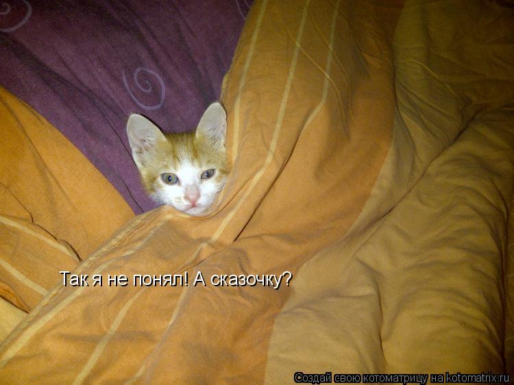 Так я не понял! А сказочку?... Котоматрица: Так я не понял! А сказочку?