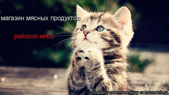 магазин мясных продуктов райское мясо... Котоматрица: магазин мясных продуктов райское мясо