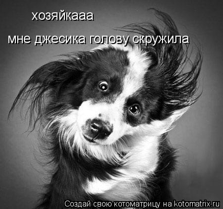 хозяйкааа мне джесика голову скружила... Котоматрица: хозяйкааа мне джесика голову скружила
