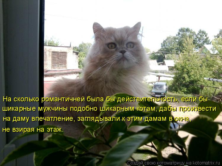 На сколько романтичней была бы действительность, если бы шикарные мужчины подобно шикарным котам, даб... Котоматрица: На сколько романтичней была бы действительность, если бы шикарные мужчины подобно шикарным котам, дабы произвести на даму впечатление, заг