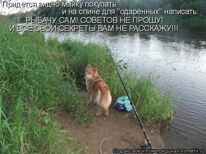 Придётся видно майку покупать и на спине для "одарённых" написать: РЫБАЧУ САМ! СОВЕТОВ НЕ ПРОШУ! И ВС... Котоматрица: Придётся видно майку покупать и на спине для "одарённых" написать: РЫБАЧУ САМ! СОВЕТОВ НЕ ПРОШУ! И ВСЕ СВОИ СЕКРЕТЫ ВАМ НЕ РАССКАЖУ!!!