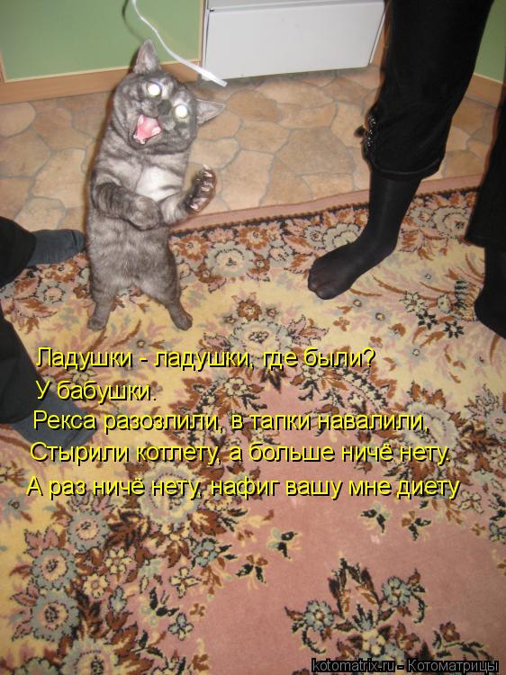 Ладушки - ладушки, где были? У бабушки. Рекса разозлили, в тапки навалили, Стырили котлету, а больше ... Котоматрица: Ладушки - ладушки, где были? У бабушки. Рекса разозлили, в тапки навалили, Стырили котлету, а больше ничё нету. А раз ничё нету, нафиг вашу мне